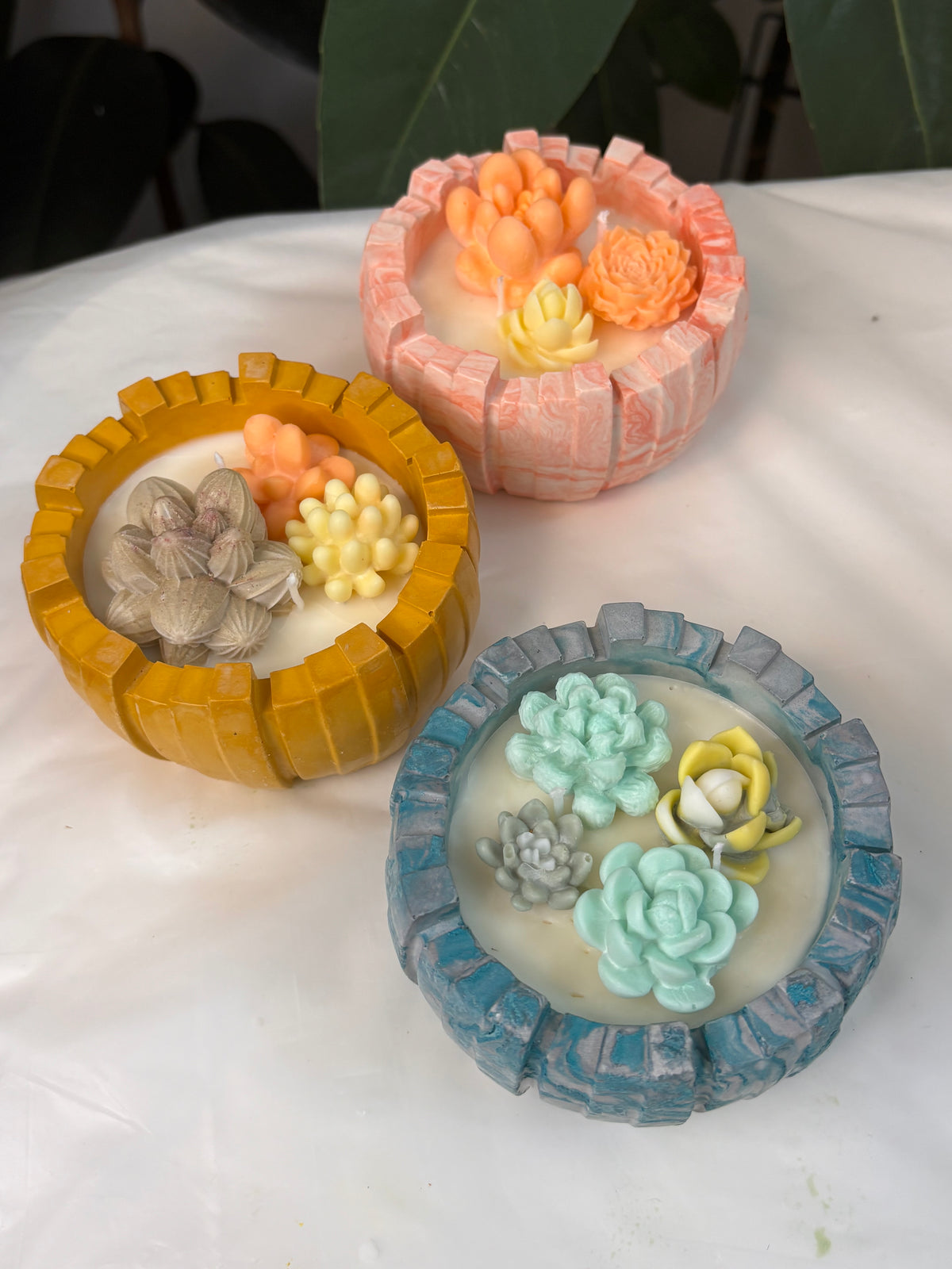 Succulent coconut wax candle