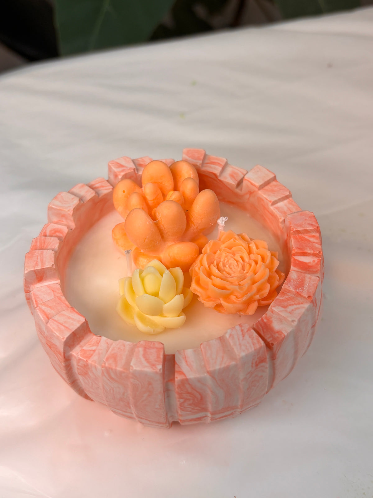 Succulent coconut wax candle